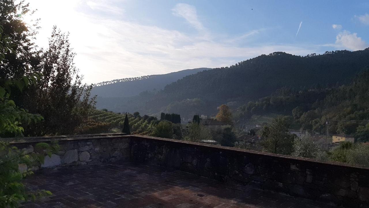 Agriturismo Alle Camelie Capannori Exterior foto