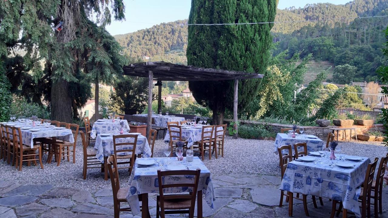 Agriturismo Alle Camelie Capannori Exterior foto