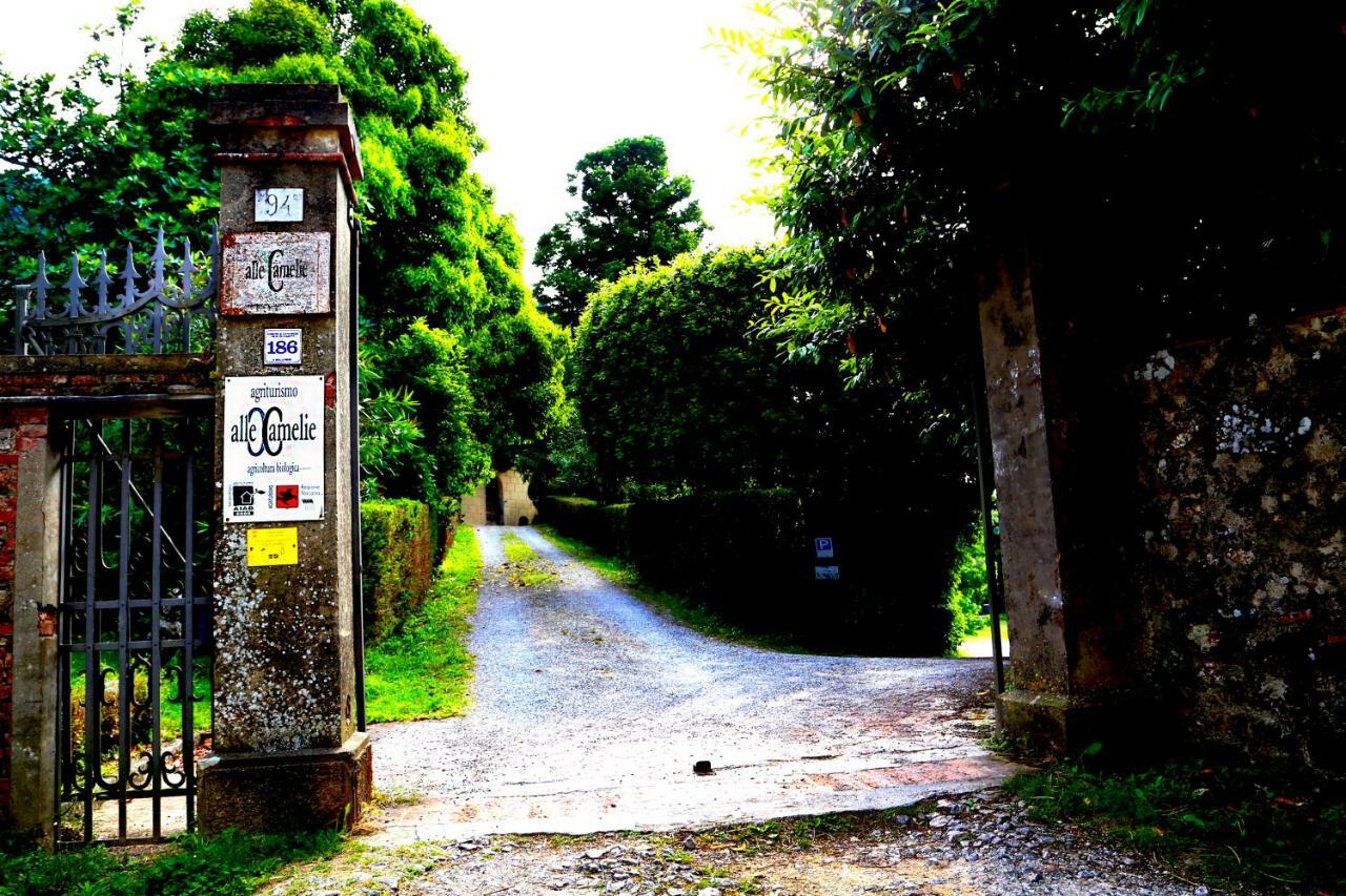 Agriturismo Alle Camelie Capannori Exterior foto