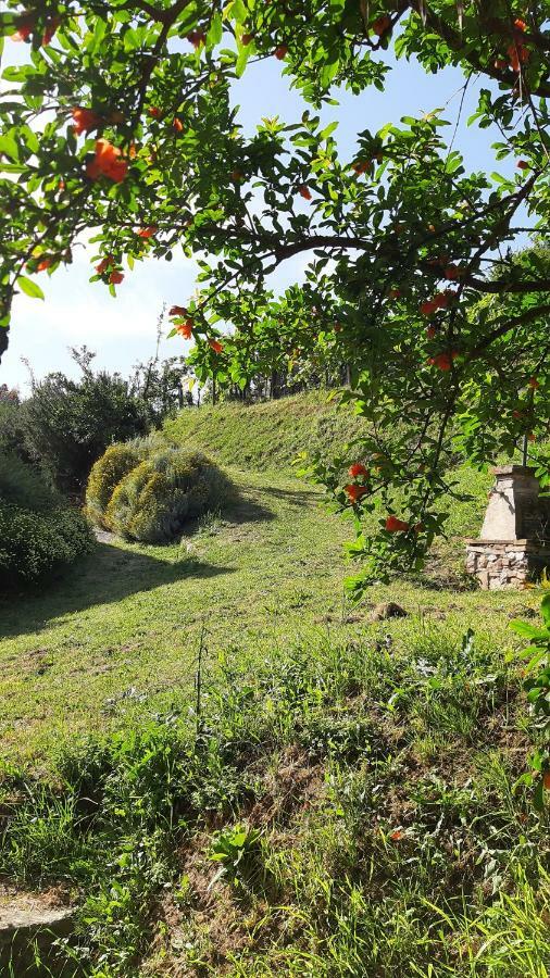 Agriturismo Alle Camelie Capannori Exterior foto